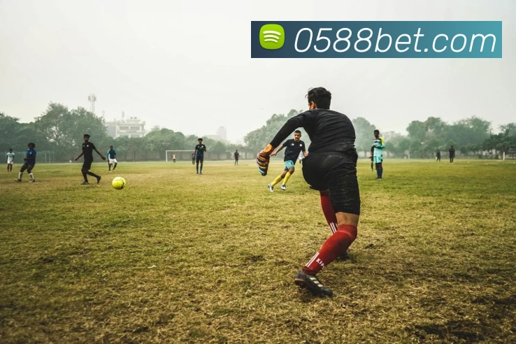 bet365com服务体系